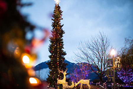 11月23日至2020年1月12日，哈里森温泉美丽的冬季——湖畔灯光节登场。