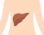 从身体2部位看出肝功能好坏 1招增强肝功能