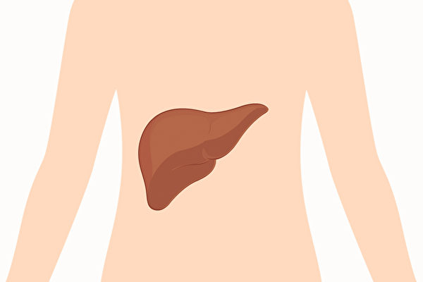 肝脏负有排毒的重要任务，通过一些外在表现探知肝功能。(Shutterstock)