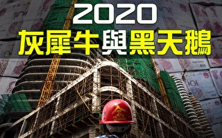 【熱點互動】2020中國經濟灰犀牛與黑天鵝