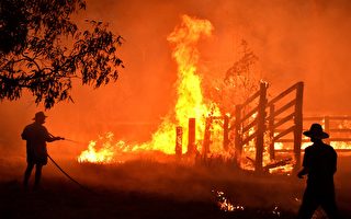 澳大利亚森林大火跨新年 悉尼烟火秀惹争议
