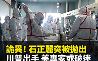 凌晓辉：武汉P4实验室对蝙蝠身上病毒的改造