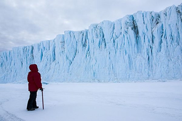 《南極洲：冰上一年》影評：他們做企鵝不會做的事