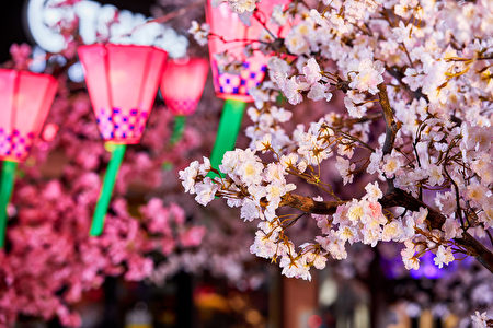 MITSUI OUTLET PARK台中港,营造中部海线拟真樱花林,巧妙运用永生花的技巧,让染井吉野樱的花期长达三个月。