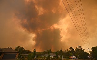 澳洲丛林大火危机中 房客的权益