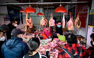 中共肺炎持续 中国大规模杀鸡 进口美活禽