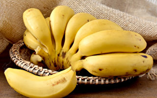 香蕉是“最便宜营养品”减肥助排便  3类人不宜吃
