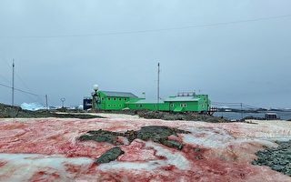 烏克蘭的南極基地出現異樣的雪 一片血紅色