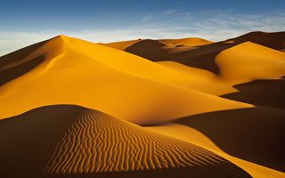 研究：沙丘之间也有联系