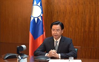 台外長接受美媒專訪 分享台灣防疫經驗