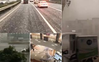 【现场视频】浙江省多地现狂风暴雨或冰雹