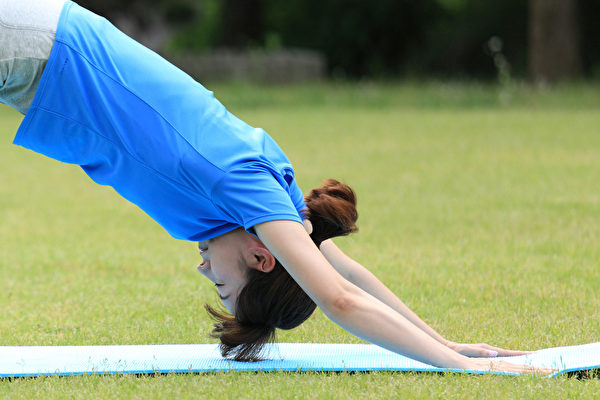 下犬式伸展是一种极具复健疗效的瑜伽伸展姿势。(Shutterstock)