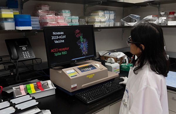 在研发COVID-19疫苗之一的美国马里兰州Novavax实验室，一位研究者在看新型冠状病毒的蛋白质结构。(ANDREW CABALLERO-REYNOLDS/Getty Images)