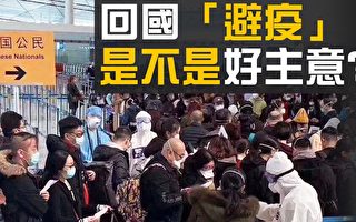 【熱點互動】海外華人回國「避疫」引熱議