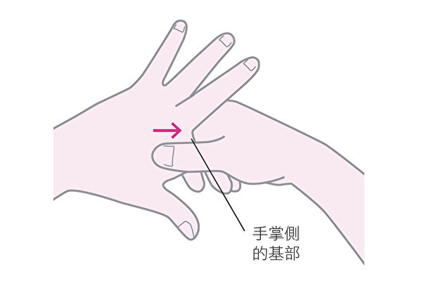 請用另一隻手的食指指腹，稍微用點力道按壓食指和中指的基部。（和平國際提供）
