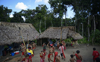 中共病毒入侵亚马逊雨林 15岁少年染疫亡