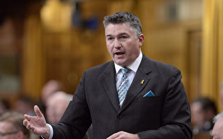 加拿大国会议员：须依法调查和制裁中共