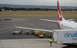 澳航六名行李搬运工染疫 进出南澳航班停飞