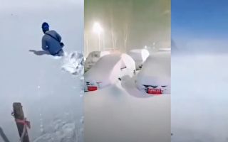 【现场视频】齐齐哈尔降37年未见的特大暴雪