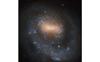 NGC 4618：只有一個旋臂的螺旋星系