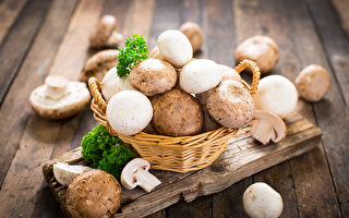 蘑菇不僅是超級食品 研究發現還有一大好處
