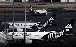 卫生部门向新西兰航空公司寻求IT帮助