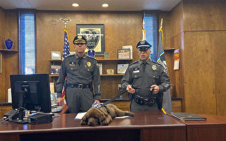 美国警犬宝宝在自己的宣誓就职典礼上睡着