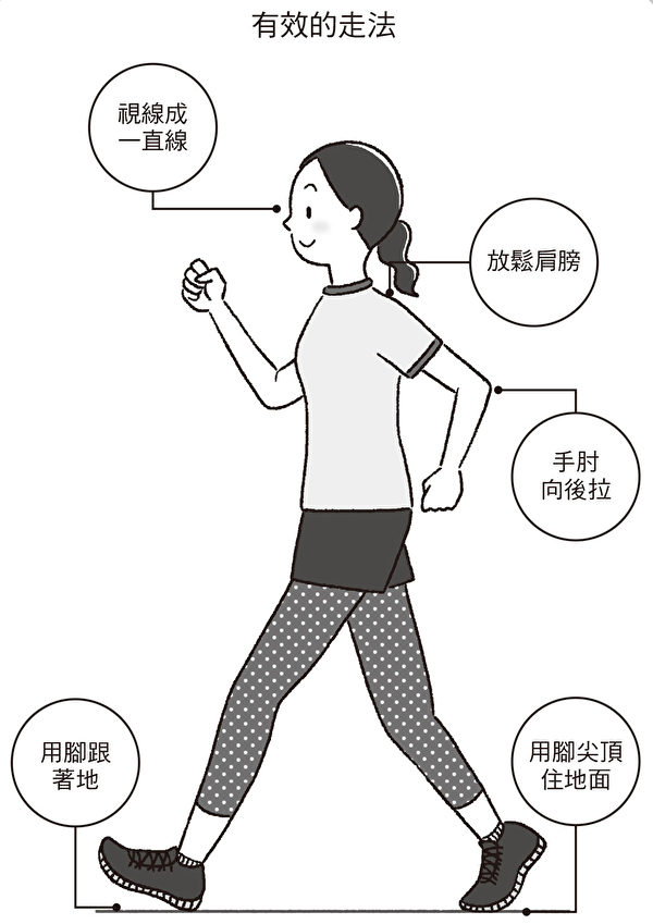 让走路达到更好运动效果的方法：脚跟先着地、手肘向后拉等。（联经出版）