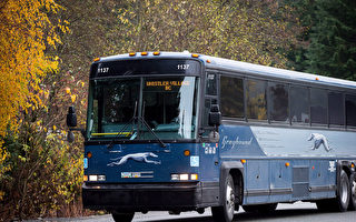 乘客流失95% 加国灰狗停运所有巴士线路