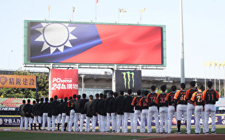 台湾职棒国际瞩目 纽时：象征战胜疫情