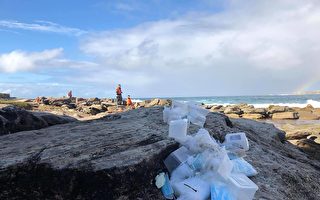 中国集装箱坠海酿大祸 澳洲海滩被迫关闭