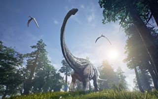 澳洲新发现长颈恐龙化石