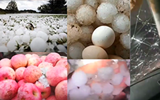 【現場視頻】山東重慶降冰雹 有的大如雞蛋