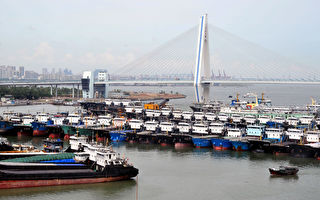 謝田：為什麼海南自由貿易港會成四不像？