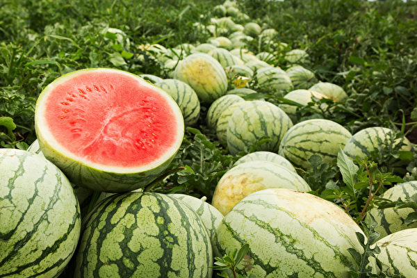 西瓜是水果中“预防中暑的人气王”，它有“天生白虎汤”的美称。(Shutterstock)