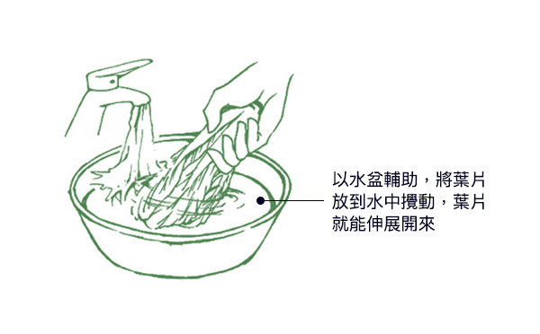 空心菜、茼蒿、地瓜叶、九层塔等小叶绿色蔬菜，应在水盆中冲洗，洗去表面的农药。（商周出版提供/大纪元后制）