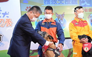 台湾搜救犬国际认证亚洲第一 徐国勇亲自授阶