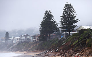 新州遭強風暴雨襲擊 悉尼局部地區暴發洪水