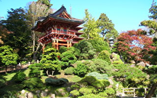 舊金山金門公園日本茶園重新開放