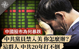 【十字路口】中國股市為何暴跌 中共黨員禁入美