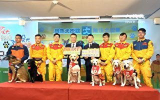 成立源起於921大地震 台灣搜救犬隊的故事