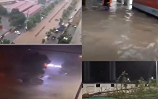 颱風黑格比登陸浙江 多地狂風暴雨積水嚴重