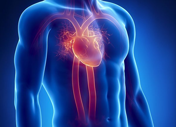 心肌梗塞、主动脉剥离、肺栓塞，是让胸口出现闷痛症状的三大严重疾病。(Shutterstock)