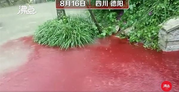 8月16日，四川綿竹市月亮泉公園的水中突然冒出紅色的積水，並伴有血腥味。（視頻截圖）