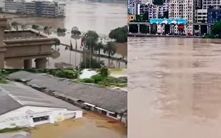 长江嘉陵江洪水过境 重庆遇今年最大洪水