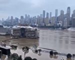 长江洪水袭重庆 1949年后乐山大佛首次被淹