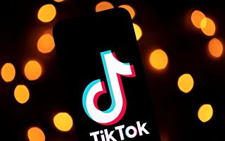 TikTok收购案 川普：部分收益缴国库