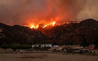 南加州“苹果大火”继续蔓延 8千人撤离