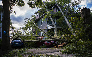 热带风暴伊萨亚斯重击新泽西 140万户断电