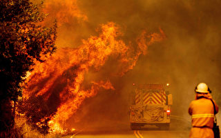 加州北部雷电引发5县大火烧2.5万英亩 目前未控